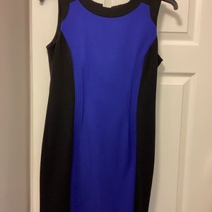 Calvin Klein sheith dress